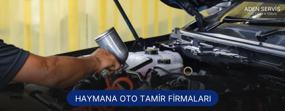 Haymana Oto Tamir